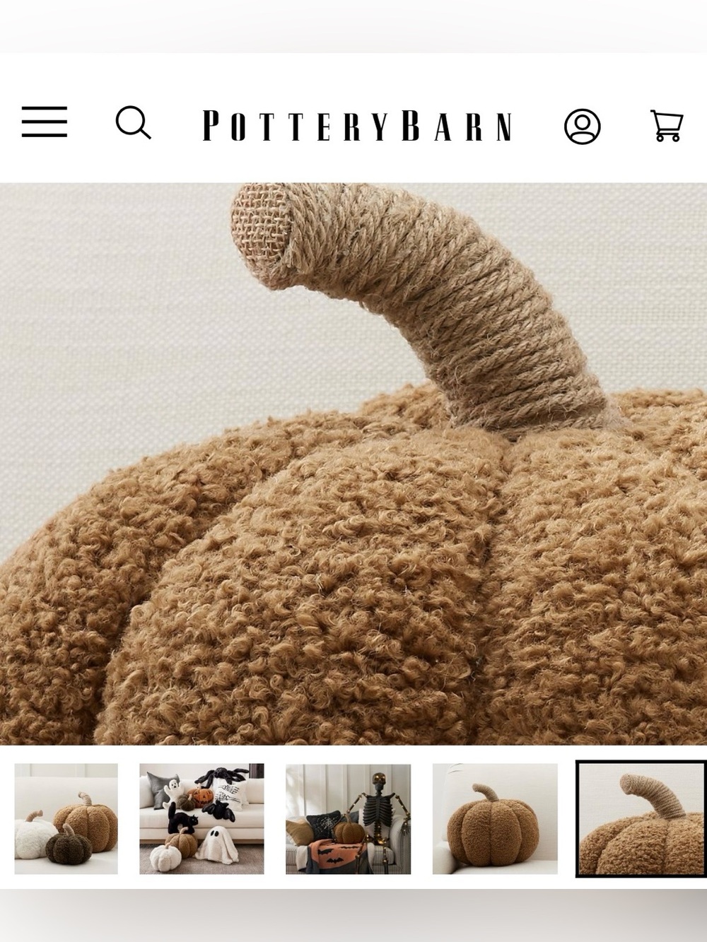 Cozy Fall ORANGE Pumpkin - Picture 2 of 11